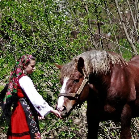 Pirin Place Апартамент