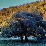 Апартаменти Pirin Place