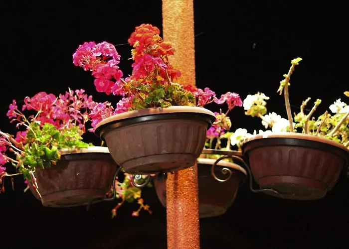 Pirin Place דירה *