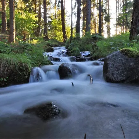 Pirin Place Апартамент *