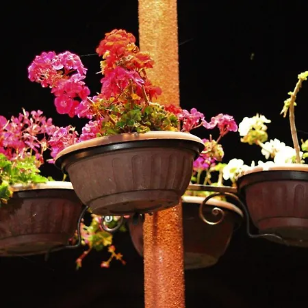 Pirin Place Apartment *