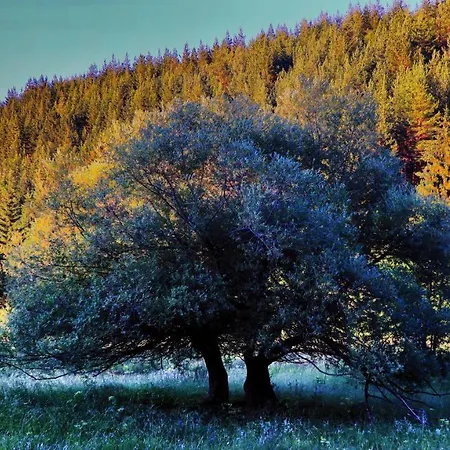 Апартамент Pirin Place