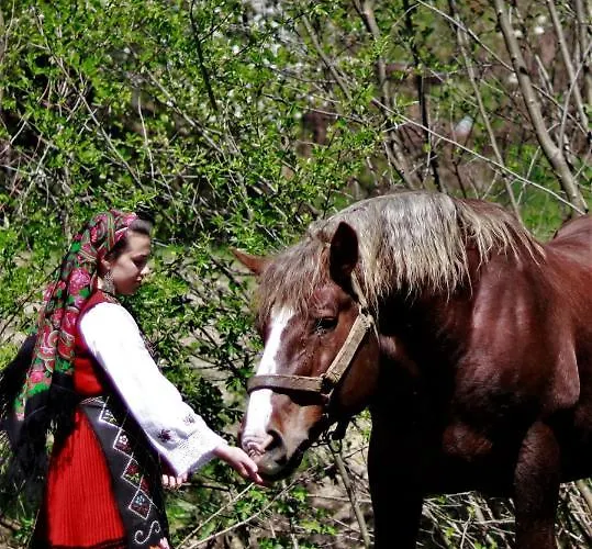 Pirin Place Apartment