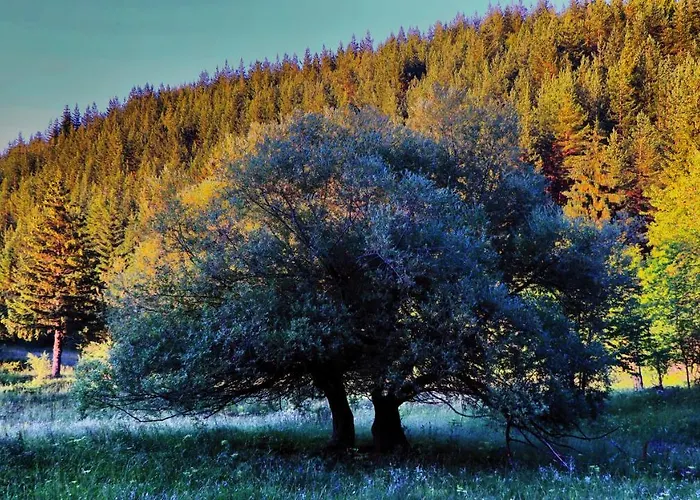 Appartamento Pirin Place